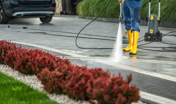 Best House Exterior Washing  in Alburtis, PA